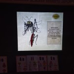 438668930_754668606848355_3685984713634844448_n